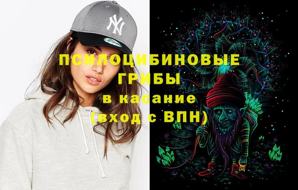 PSILOCYBIN Михайловск