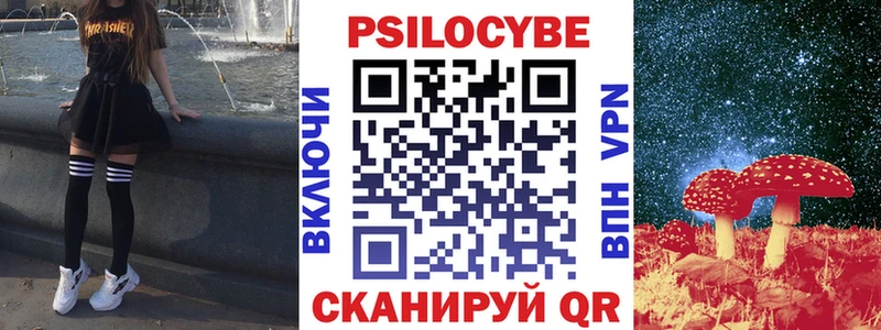Псилоцибиновые грибы GOLDEN TEACHER  сколько стоит  Чёрмоз 